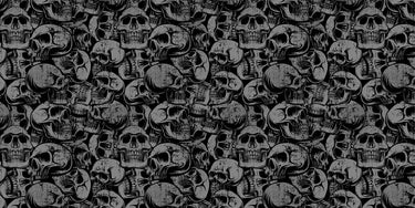 Numark Orbit Skin Skull